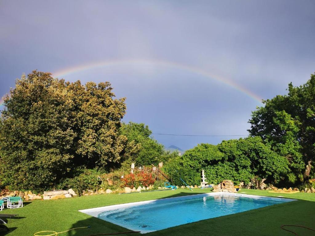 Chambre Le Mas D'Adelice Taulignan Εξωτερικό φωτογραφία